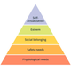Maslow's Pyramid